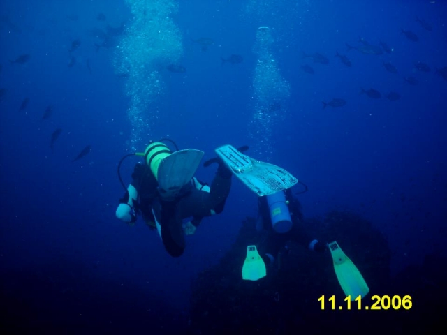  Guided dives 